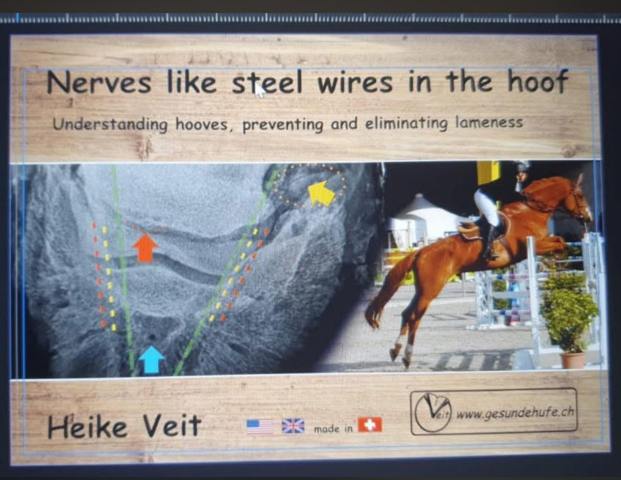 Book- Nerves like steel wires by Heike Veit