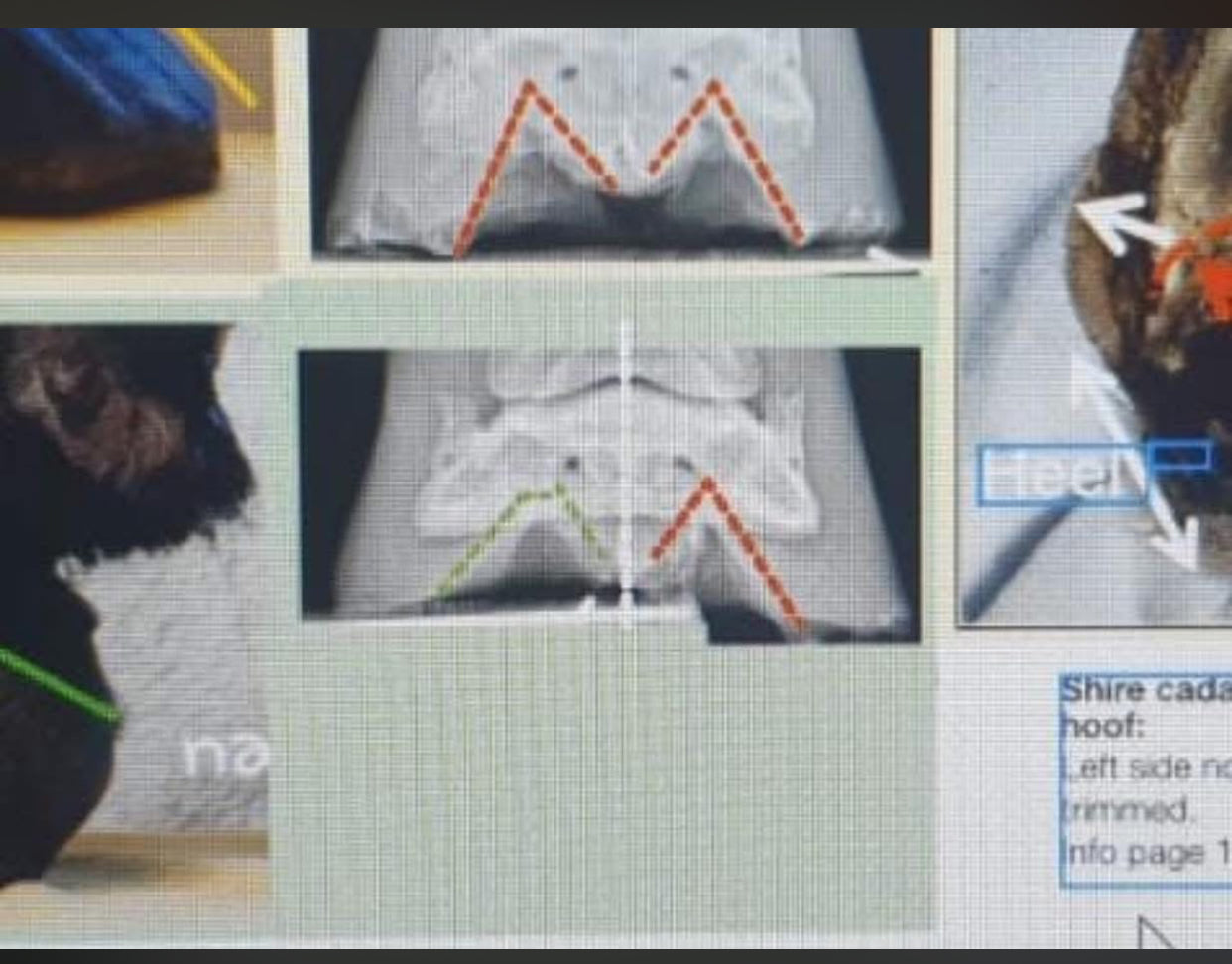 Book- Nerves like steel wires by Heike Veit