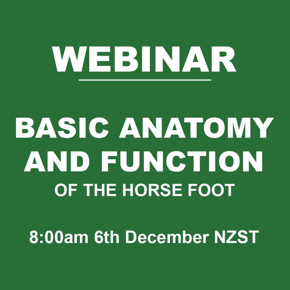 Basic Anatomy and Function Webinar - 8:00am 6th December NZST