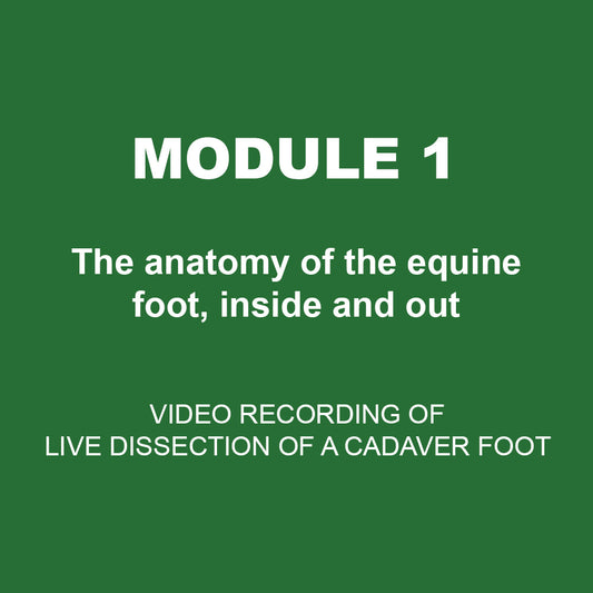 Module 1 - The anatomy of the equine foot