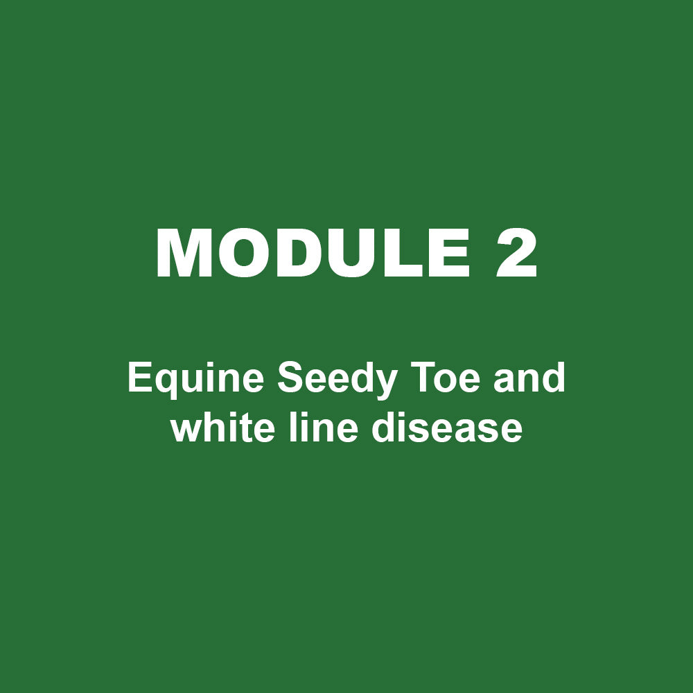 Module 2 - Equine Seedy Toe and white line disease